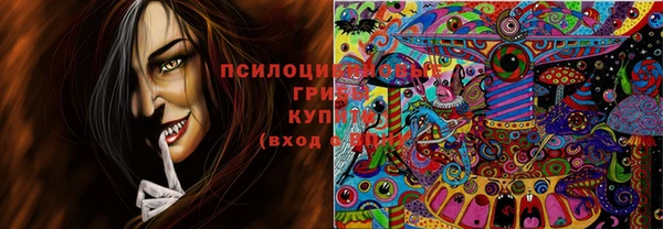 стаф Абинск