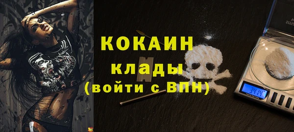 стаф Абинск
