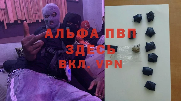 стаф Алексин