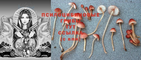 Альфа ПВП Абдулино